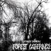 Forest Demon - Forest Gatherings