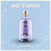 Stolen Gin - No Tonic