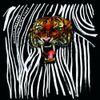 Acoustic Ladyland - Living with a Tiger