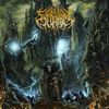 Vile Sycophant - Delivered from Madness