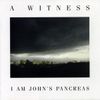 I Am John's Pancreas