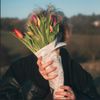 Aussie Purser - satellites and lies