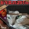 Viper - Only The Cool Cats Listen To Viper