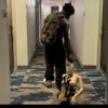 nntags - life is so amazing