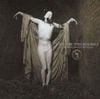 Sopor Aeternus & The Ensemble Of Shadows - Es reiten die Toten so schnell (Or: The Vampyre Sucking at His Own Vein)
