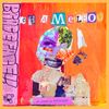 BRACE/FACE - CHAMELEON
