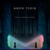 Amon Tobin - Fear in a Handful of Dust