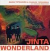 Jinta Wonderland