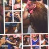 WHATMORE - chicken shop date