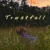BuzzCakes - Trustfall