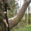 Lacuna - Overgrown