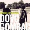 Janez Dovč & Boštjan Gombač - Sounds of Slovenia