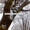 Selector Dub Narcotic - When Boys Cry