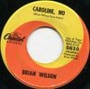 Brian Wilson - Caroline, No
