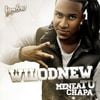 Wilo D' New - Menea Tu Chapa