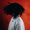 femdot. - red dot.
