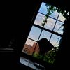 Ian_333 - 003