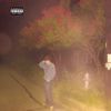 frnces - plastic tombstone