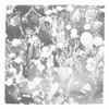 letterstoyou - feral growth at the side of mystery
