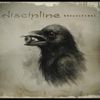 Discipline - Breadcrumbs