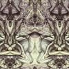 Brothers Of The Occult Sisterhood - Enter The Cult Until The Dust To Represent The World Has Discovered The Hallucinogens and Bent Us To Their Use
