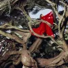 Hannah Frances - Nested In Tangles