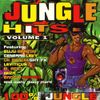 Various Artists - Jungle Hits, Volume 1