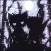 Leyline Hex - Wolf