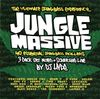 DJ Hype - Jungle Massive