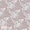 D.Brash & Big Ghost Ltd. - CHICAGHOST