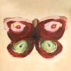 runo plum - patching