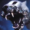 Crush - FANG