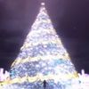 Illusionary ドリーミング - *❄️&bull; 心配のない冬 &bull;❄️*