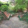 Henry Park - 620