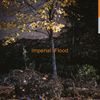 Logos - Imperial Flood