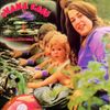 Mama Cass - Dream a Little Dream