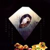 Sparrow & the Workshop - Crystals Fall