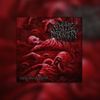 Cystic Dysentery - Culture of Death