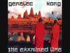 Genelec - The Examined Life