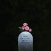 Matt Maeson - Who Killed Matt Maeson