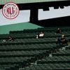 BOYS LIKE GIRLS - THE HOMECOMING (LIVE FROM THE MGM MUSIC HALL AT FENWAY PARK)