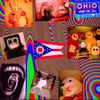 Anvil Artillery - The Ohio Tapes