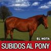 NOTA - SUBIDOS AL PONY