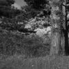 Chihei Hatakeyama - Void XVIII