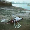 Raquel Martins - LONDON, WHEN ARE U GONNA FEEL LIKE HOME?