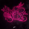 Feel The Vibe
