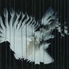 SCALER - Endlessly