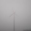 Fog