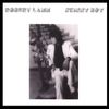Robert Lamm - Skinny Boy 2.0