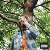 Vic Spencer - Trees Are Undefeated